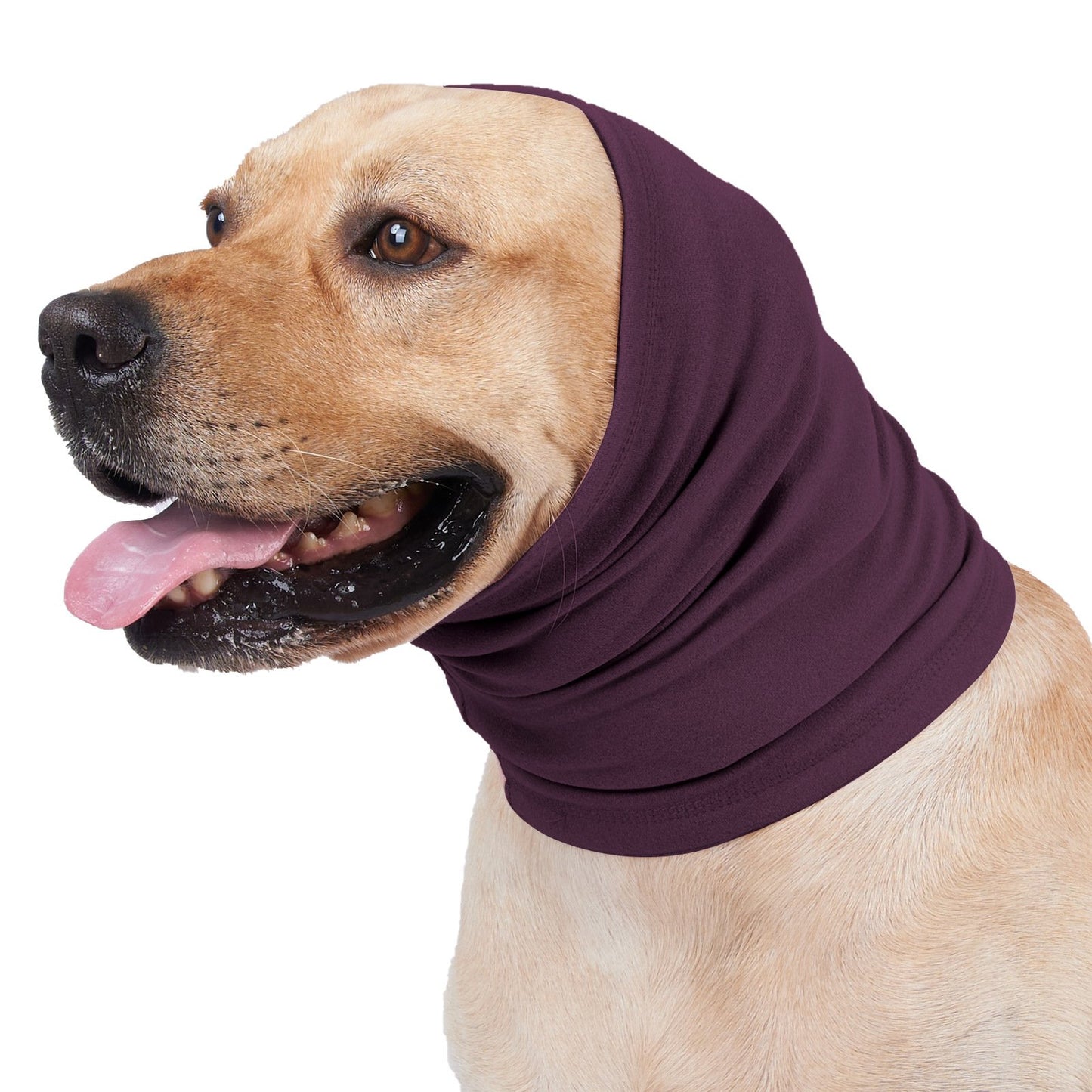 š¶š±Cat And Dog Soothing Headband Earmuffsā - Provide a quiet environment for them