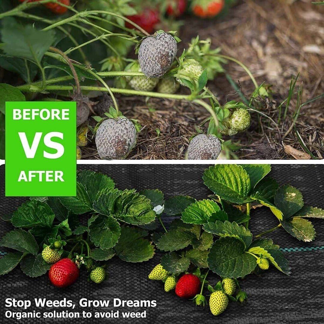 (🔥HOT SALE🔥)Anti-weed gardening mat