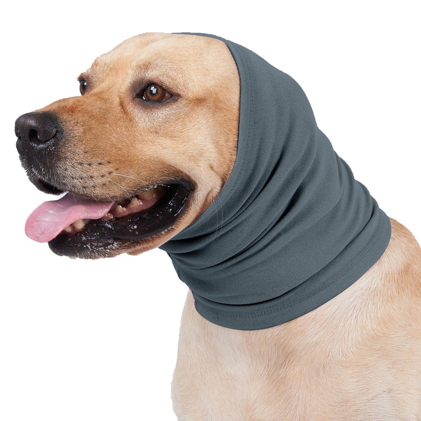 🐶🐱Cat And Dog Soothing Headband Earmuffs⭐ - Provide a quiet environment for them