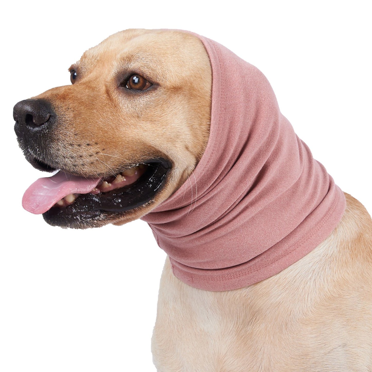 🐶🐱Cat And Dog Soothing Headband Earmuffs⭐ - Provide a quiet environment for them