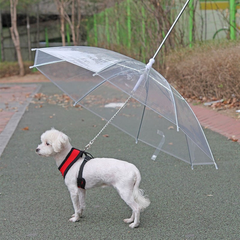 ☔Rainy Necessary 🐕‍🦺🐕‍🦺Dog Umbrella Leash☔