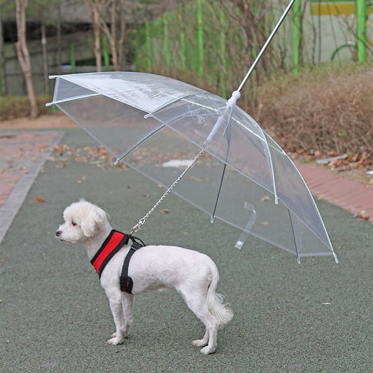 ☔Rainy Necessary 🐕‍🦺🐕‍🦺Dog Umbrella Leash☔
