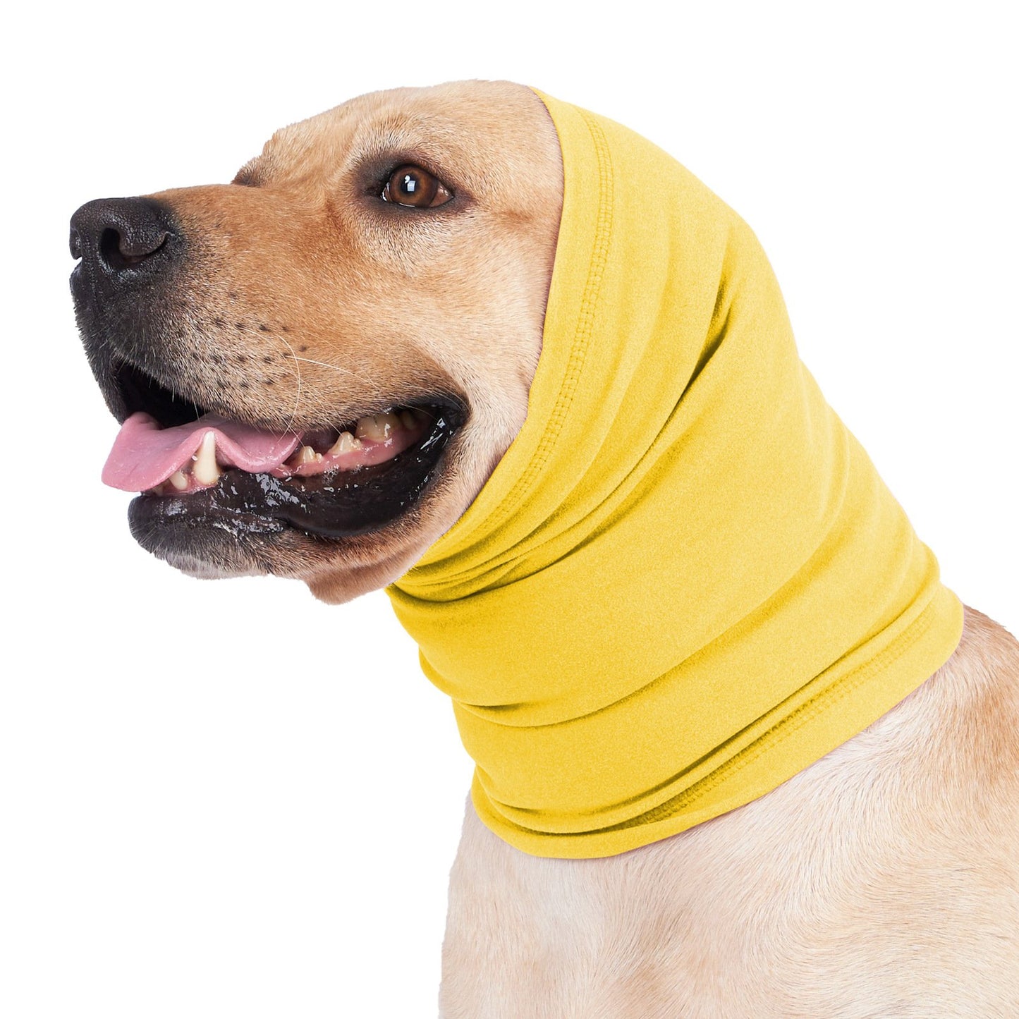 🐶🐱Cat And Dog Soothing Headband Earmuffs⭐ - Provide a quiet environment for them